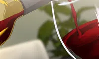 Cat Fight - Chapter 16