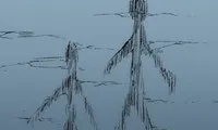 Monsoon Rain - Chapter 14