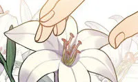 The Destroyer Fell in Love with Me - Chapter 70