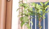 The Restless Divorcee - Chapter 5