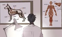 Wild City - Chapter 88